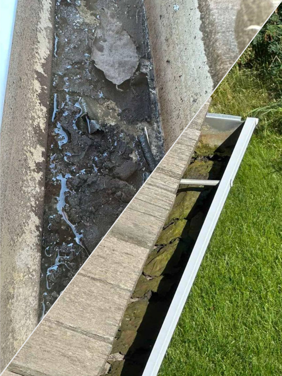 Before Gutter Cleaning